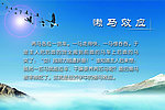 懒马效应展板