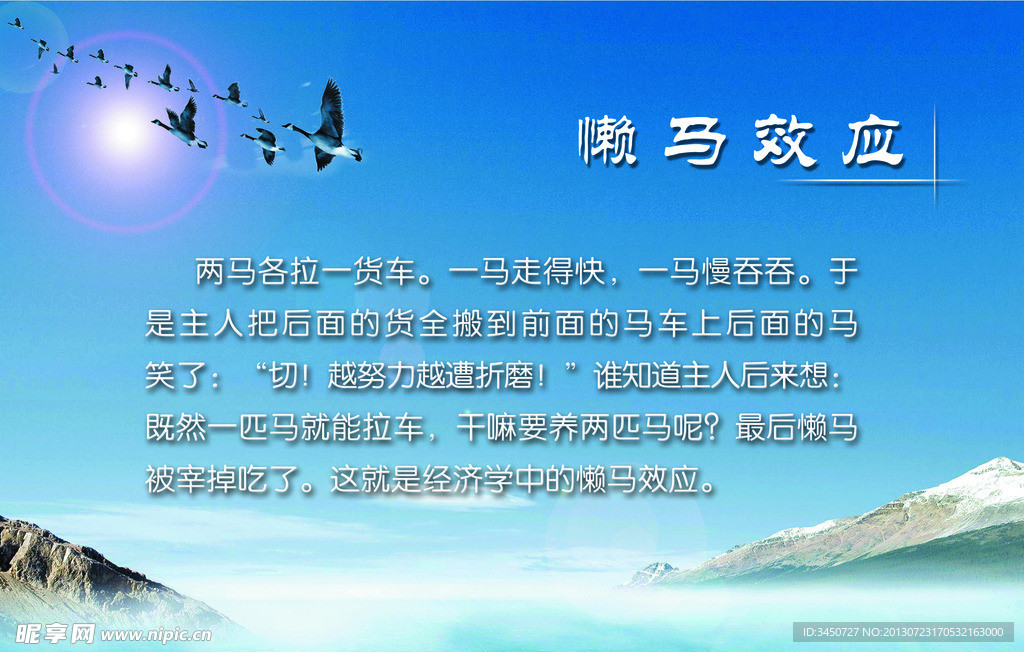 懒马效应展板