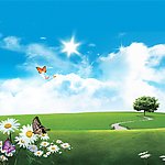 蓝天 白云 花朵