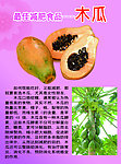 木瓜海报 减肥海报