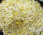 豆芽 拷贝