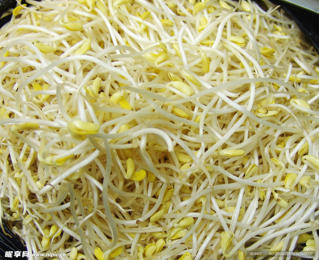 豆芽 拷贝