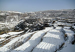 梯田雪景