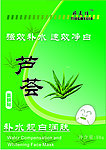 芦荟 面膜贴