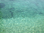 海水