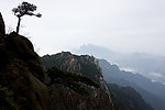 三清山石与松