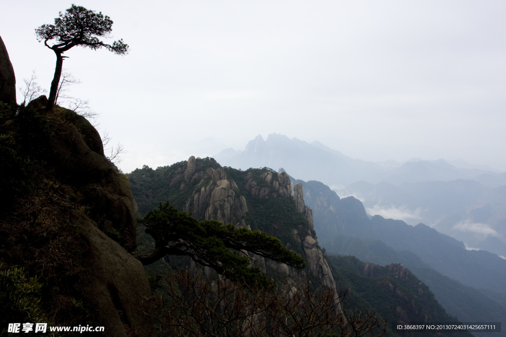 三清山石与松