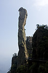 石蛇