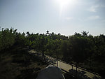 公园