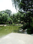 公园 配景素材 藤椅