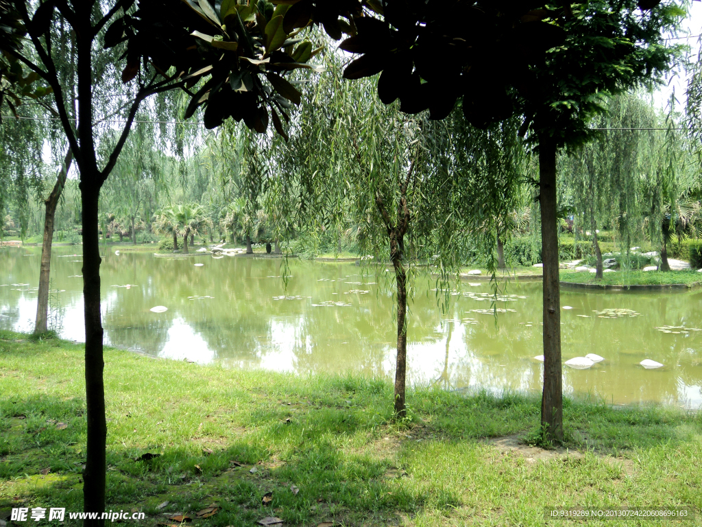 公园 配景素材 水