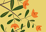 花纹底纹