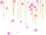 花纹