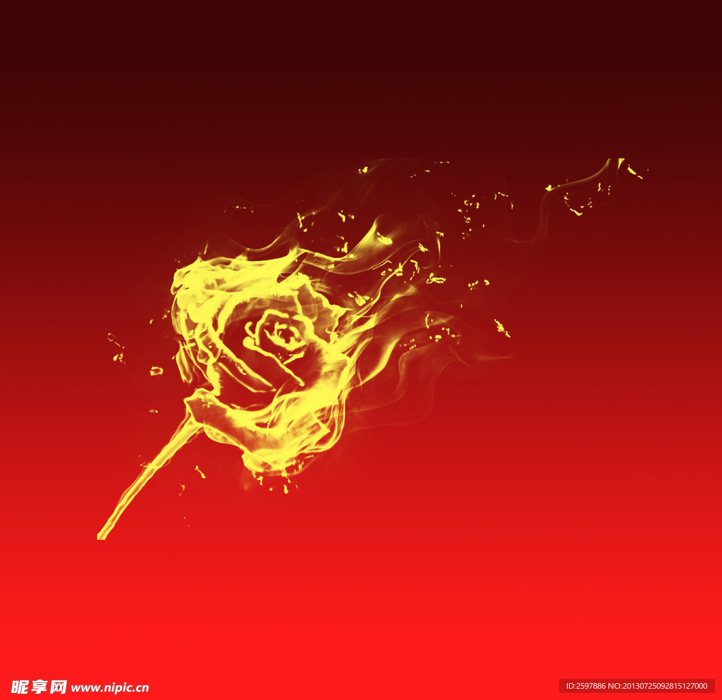 火焰玫瑰