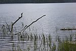 池塘风光