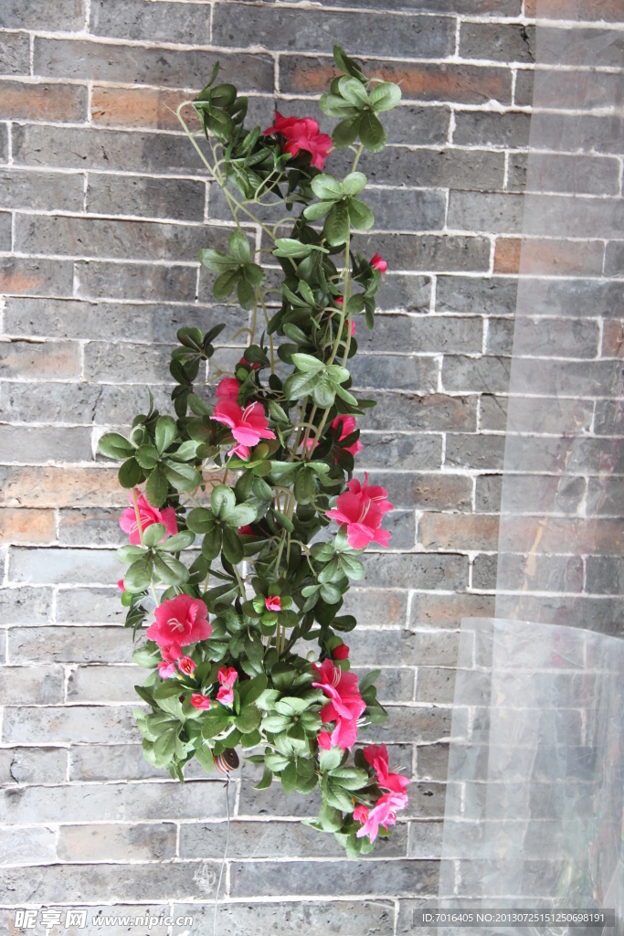 花 植物素材