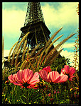 巴黎铁塔鲜花客厅装饰