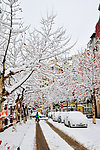 城市雪景