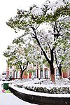 城市雪景