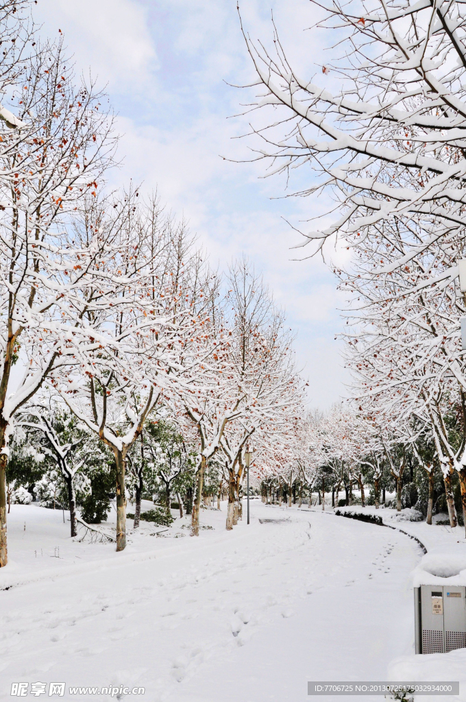 城市雪景