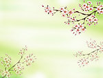 梅花背景