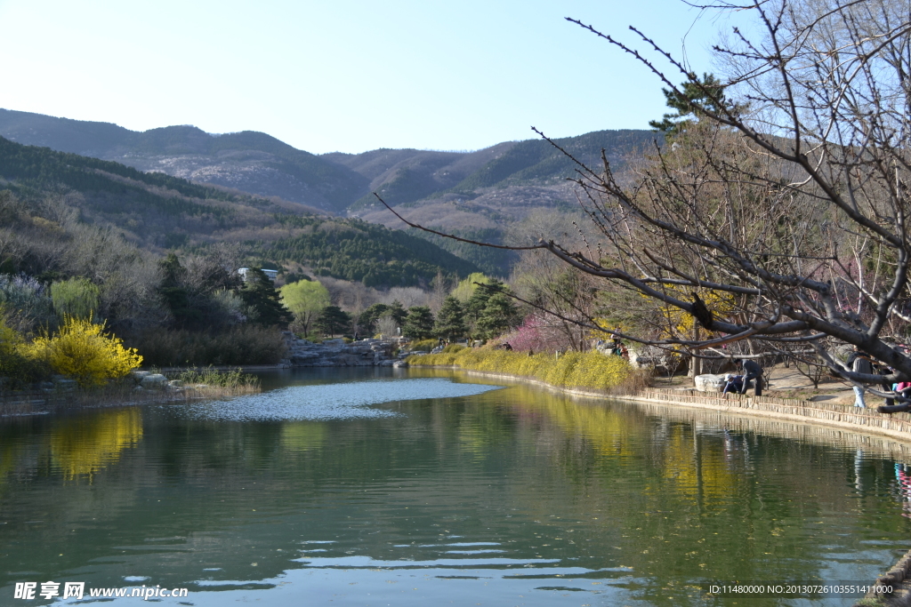 植物园山水