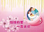 襁褓的爱