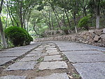 石板下坡路