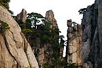 仙人采药