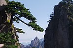 黄山