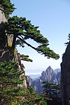黄山