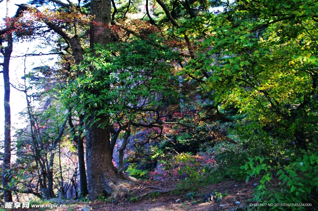 黄山