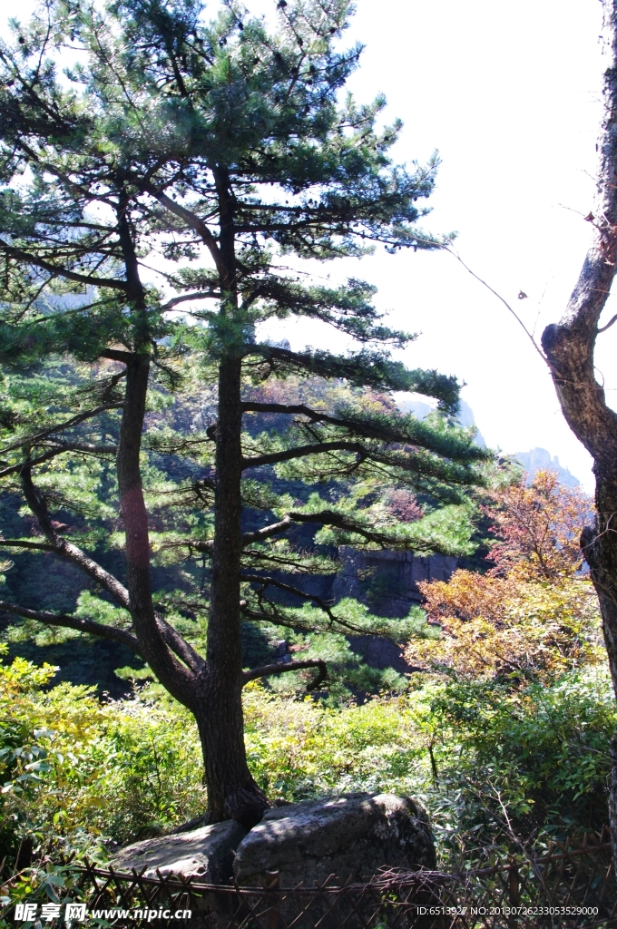 黄山