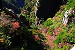 黄山