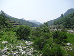 蓝天绿地