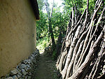 农村风景