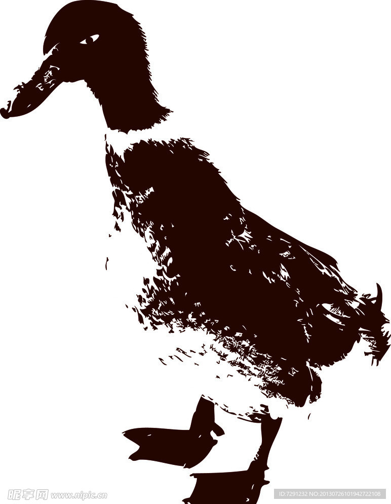 鸭子