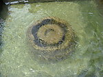 泉水