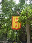 大碗茶