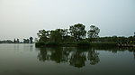 莲花湖杨柳岸