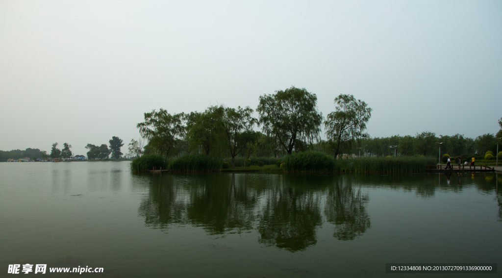 莲花湖杨柳岸