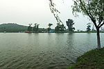 莲花湖柳岸