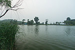 莲花湖边