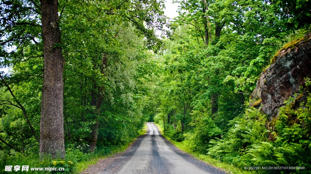 林间公路