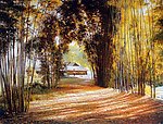 灿烂的阳光 油画