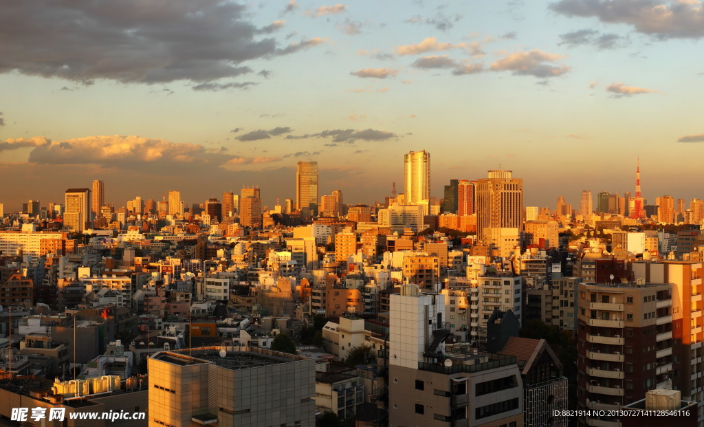城市