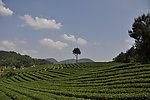 山峦风景