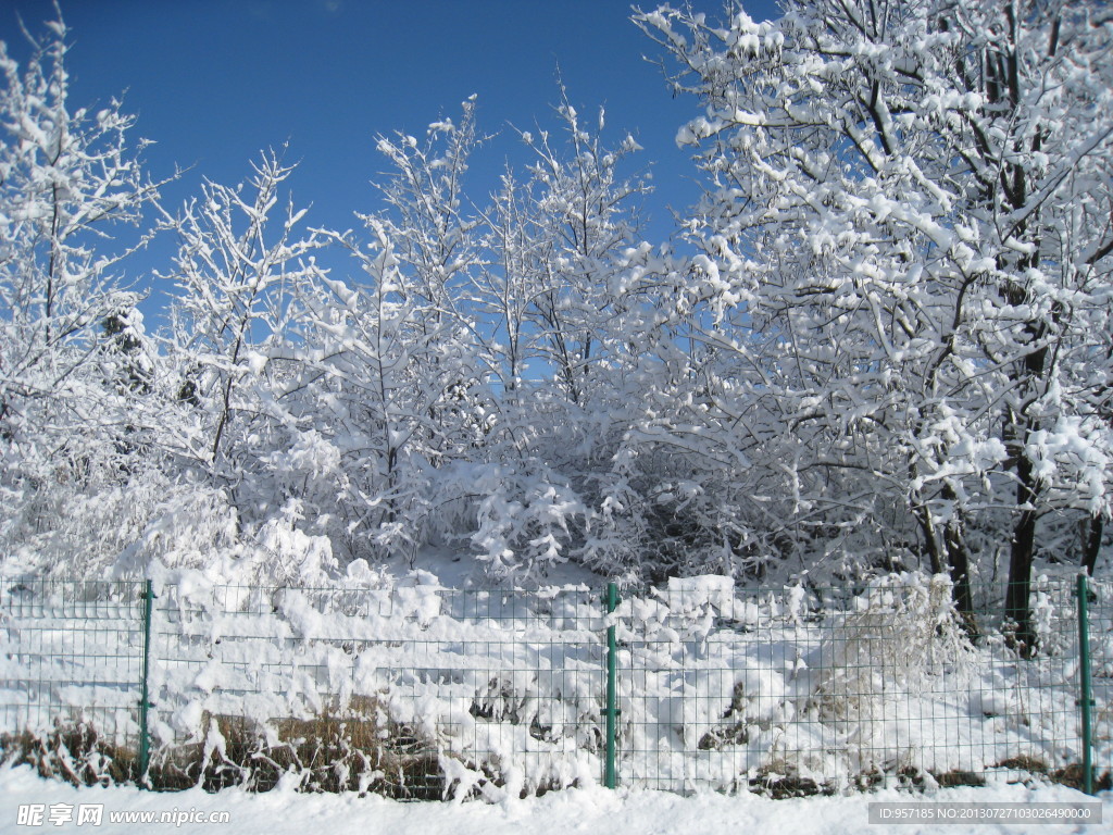 大雪