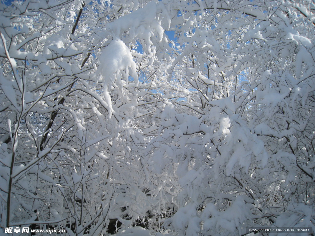 大雪