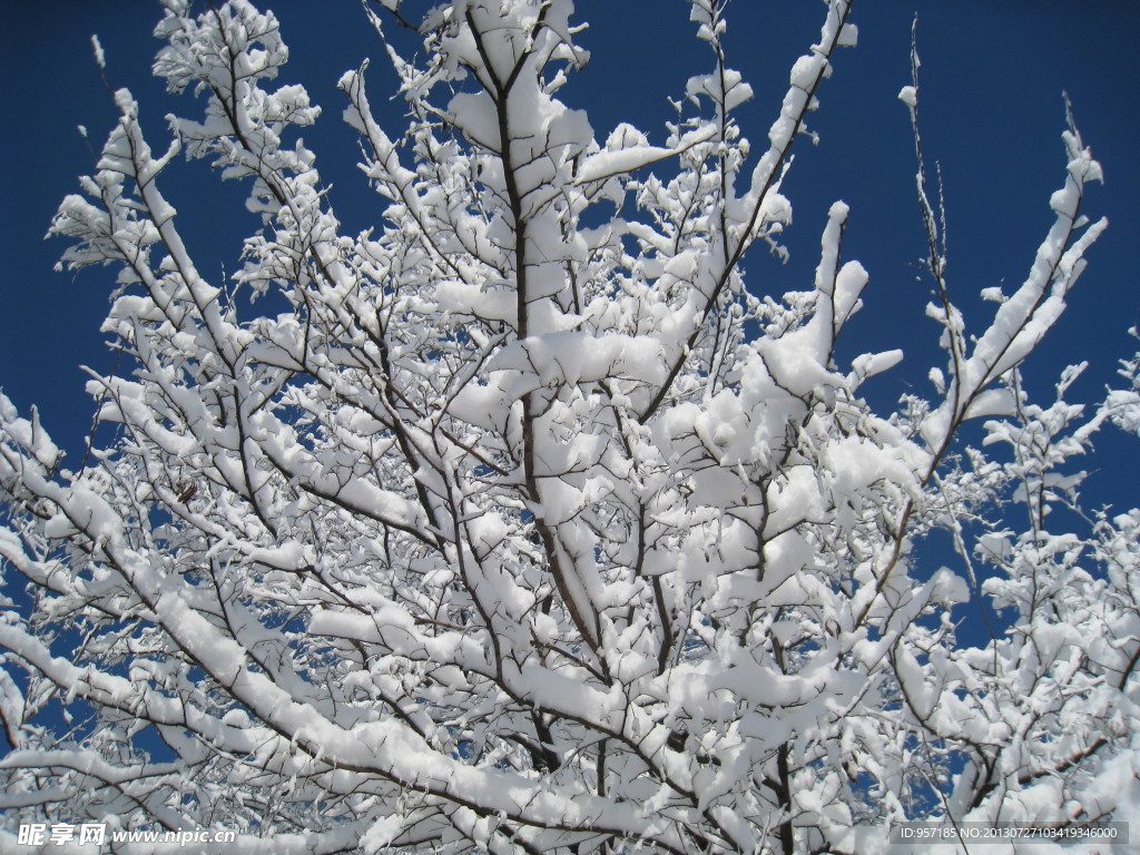 大雪